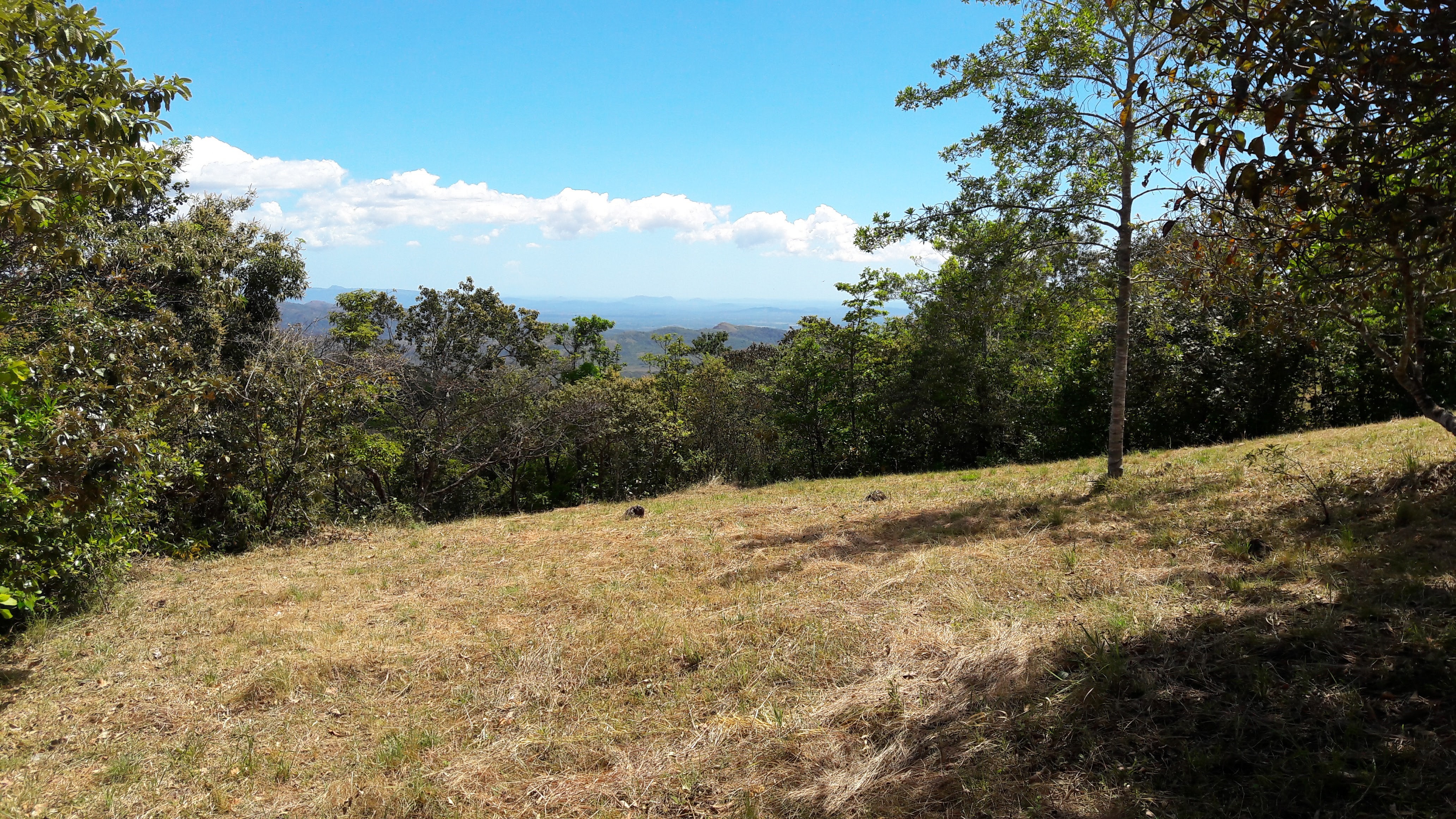 Sold – 4.7 Acres of Beautiful Land for Sale – Next to LUCERO Golf Course