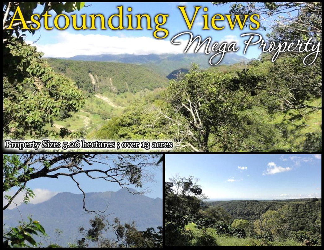 Sold by Owner - Palmira, Boquete Canyonfront View Property for Sale photo 2