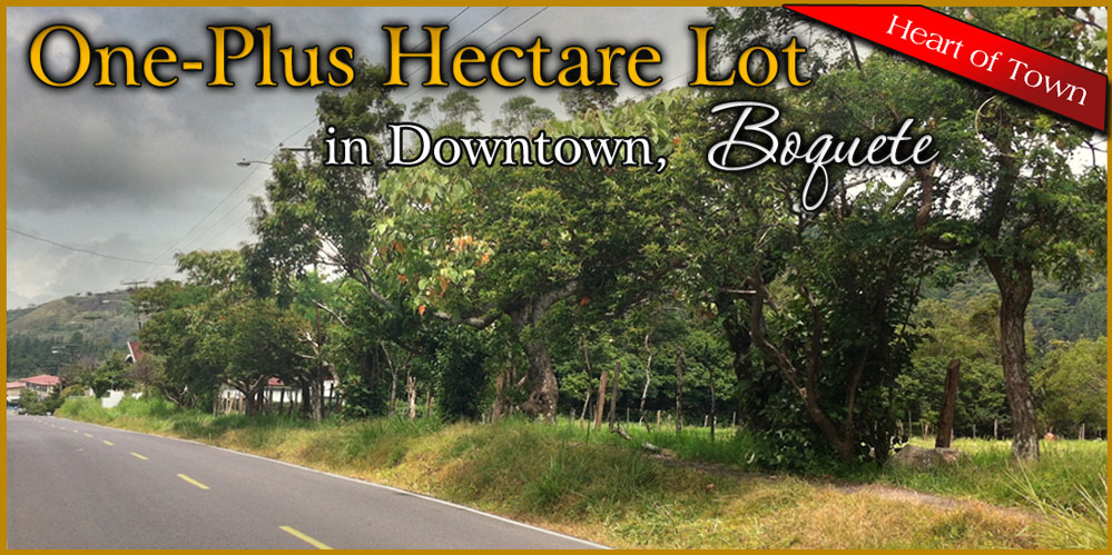 withdrawn - Prime Large Commercial Property, Downtown Boquete