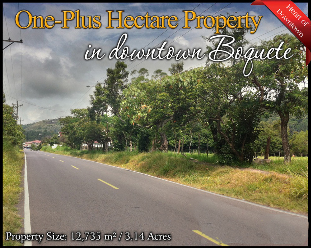 withdrawn - Prime Large Commercial Property, Downtown Boquete photo 2