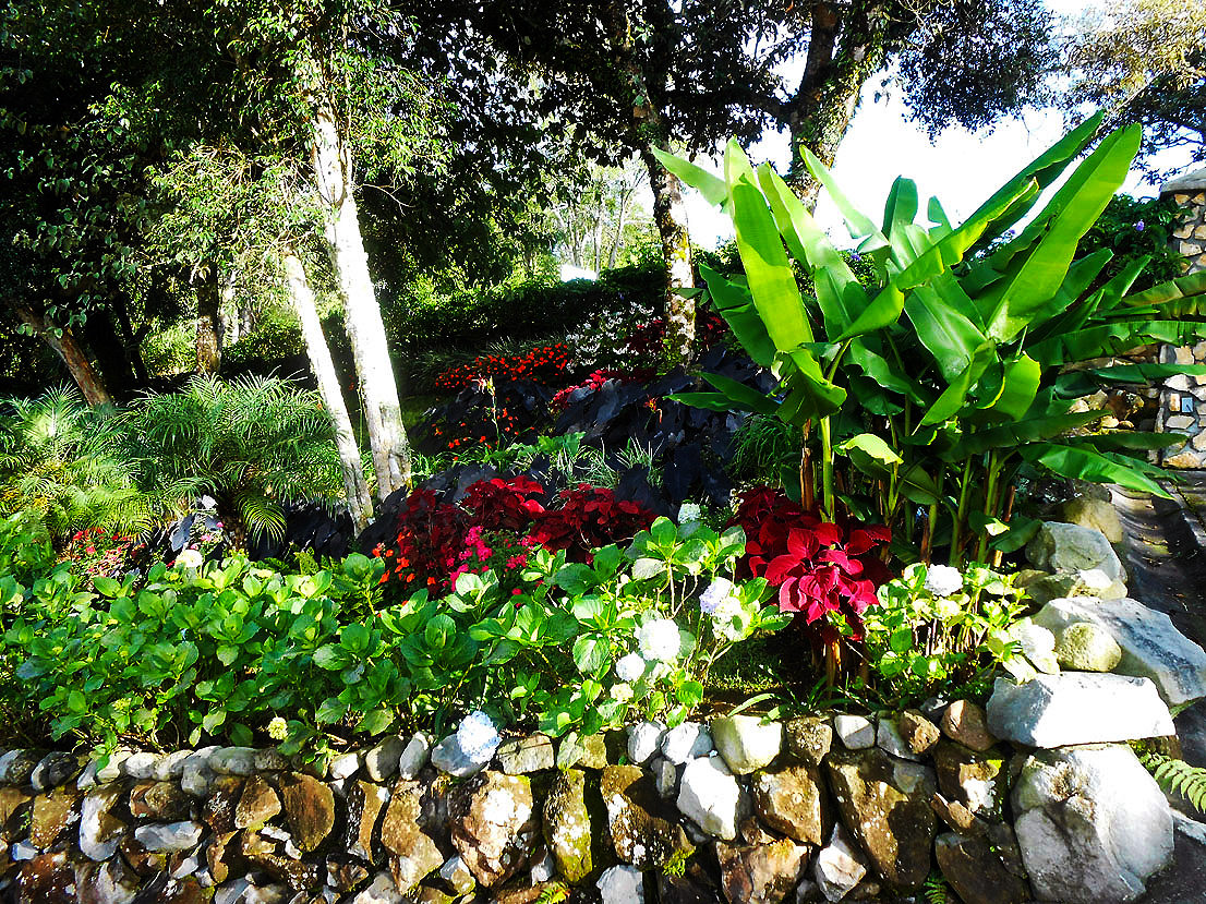 Incredible Volcancito, Boquete, Panama Residence for Sale photo 9