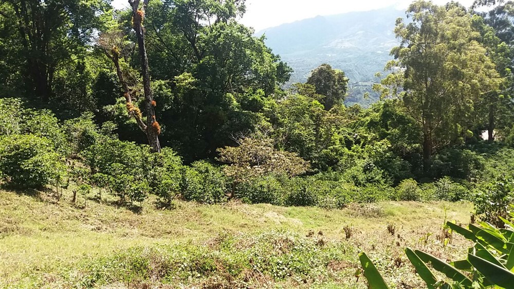 Magnificent View Lot in Las Terrazas Gated Community, Boquete, Panama – Lote con Magníficas Vistas en Las Terrazas, Boquete, Panamá. photo 11