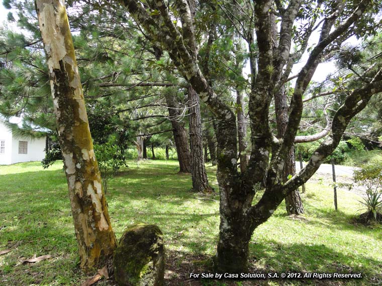 withdrawn – Appealing Property in Alto Dorado, Alto Boquete photo 2