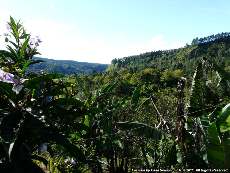 Back on the Market – Mountain Lot in Alto Lino, Boquete photo 3
