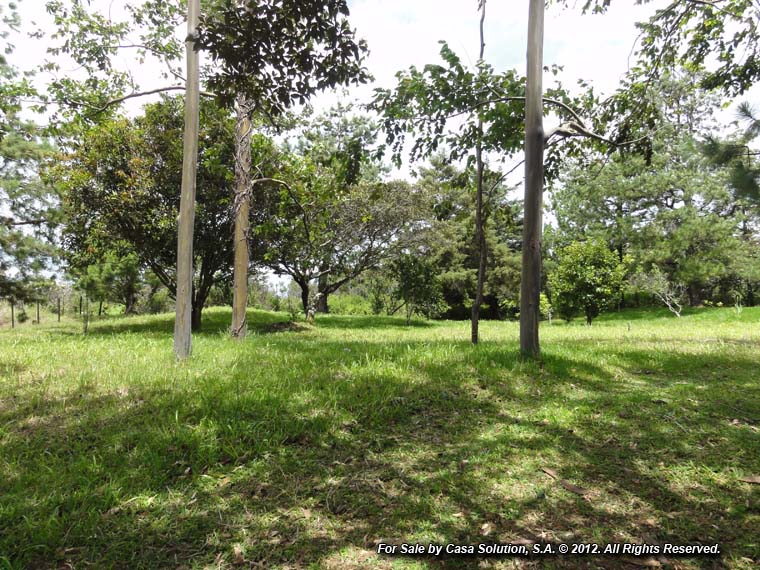 withdrawn – Appealing Property in Alto Dorado, Alto Boquete photo 3