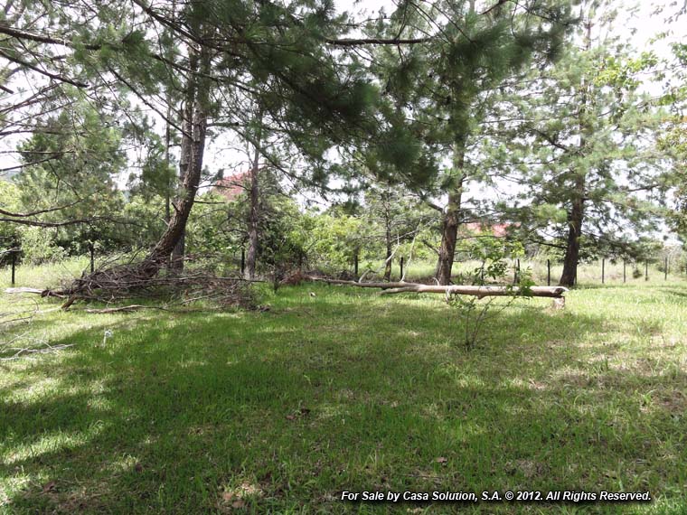 withdrawn – Appealing Property in Alto Dorado, Alto Boquete photo 4