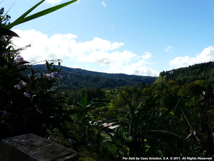 Back on the Market – Mountain Lot in Alto Lino, Boquete photo 5