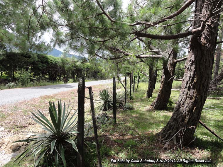 withdrawn – Appealing Property in Alto Dorado, Alto Boquete photo 5