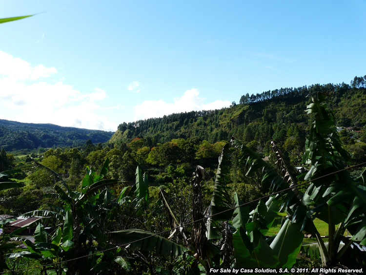 Back on the Market – Mountain Lot in Alto Lino, Boquete photo 6