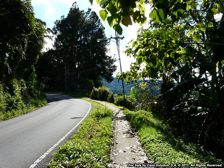 Back on the Market – Mountain Lot in Alto Lino, Boquete photo 9