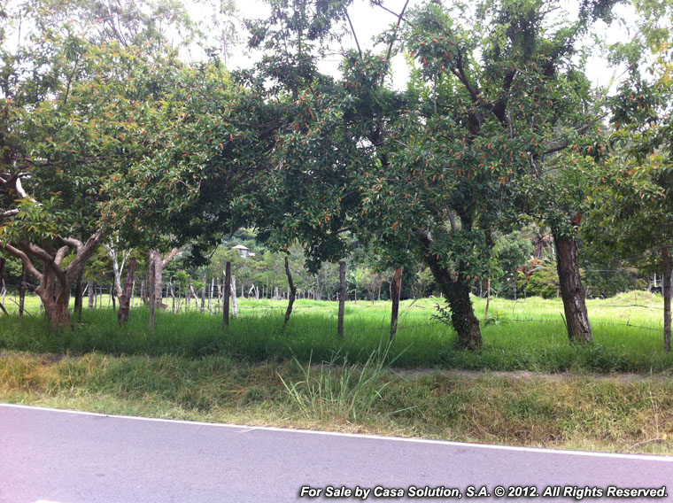 withdrawn - Prime Large Commercial Property, Downtown Boquete photo 10