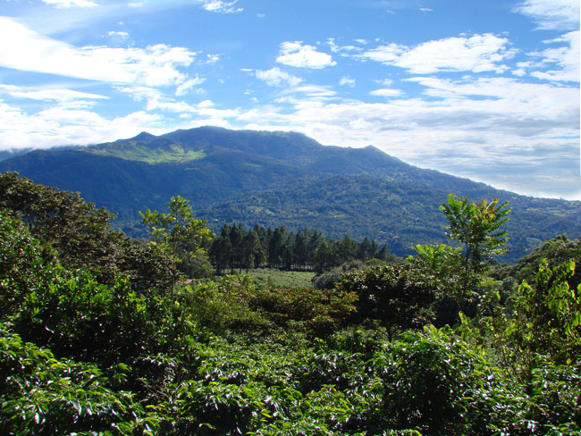 Incredible 1 hectare lot in prime Volcancito, Boquete neighborhood photo 3