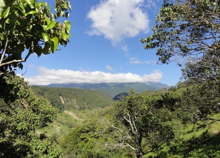 Sold by Owner - Palmira, Boquete Canyonfront View Property for Sale photo 12