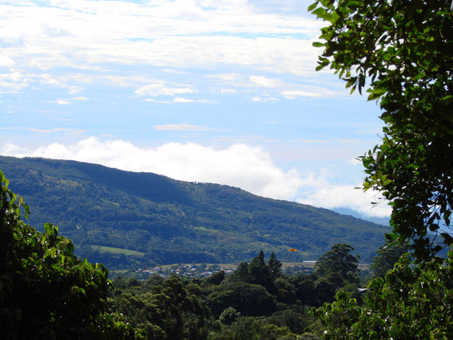 Incredible 1 hectare lot in prime Volcancito, Boquete neighborhood photo 12