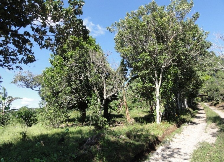 Sold by Owner - Palmira, Boquete Canyonfront View Property for Sale photo 3
