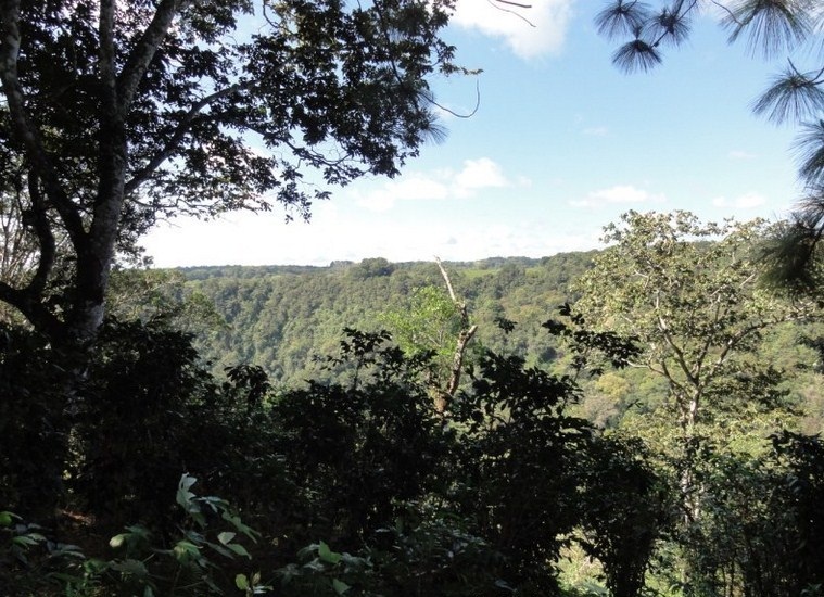 Sold by Owner - Palmira, Boquete Canyonfront View Property for Sale photo 6
