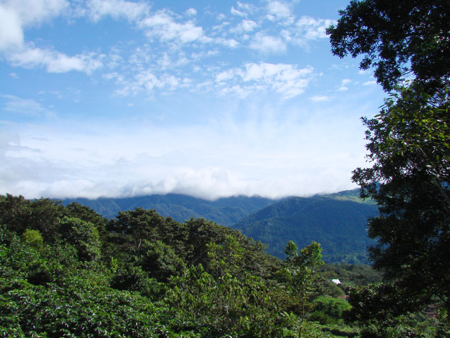 Incredible 1 hectare lot in prime Volcancito, Boquete neighborhood photo 4
