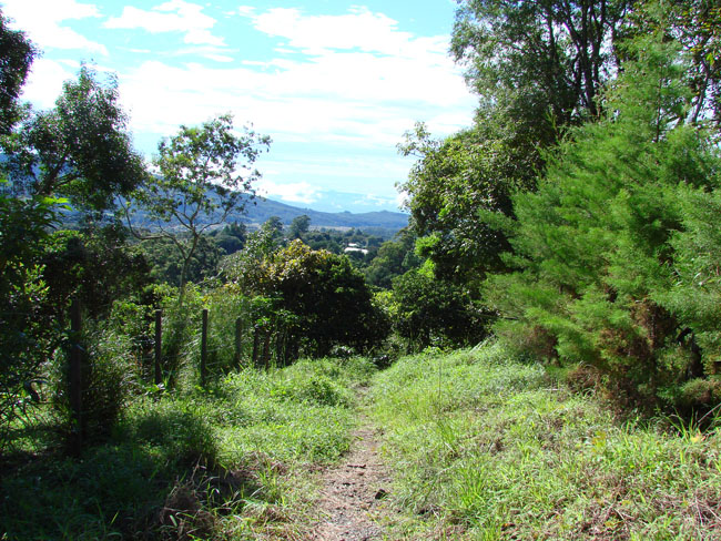 Incredible 1 hectare lot in prime Volcancito, Boquete neighborhood photo 7