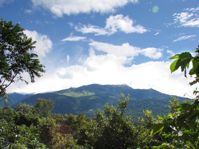 Incredible 1 hectare lot in prime Volcancito, Boquete neighborhood photo 9