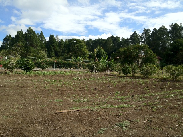 sold Amazing Valley View Lot in El Salto Close to Downtown photo 11