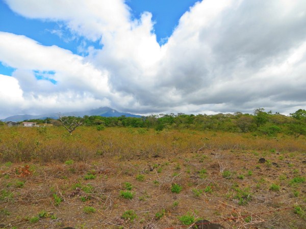 withdrawn - Land for Sale Near the Main Road Close to the Entrance of Downtown Boquete photo 6