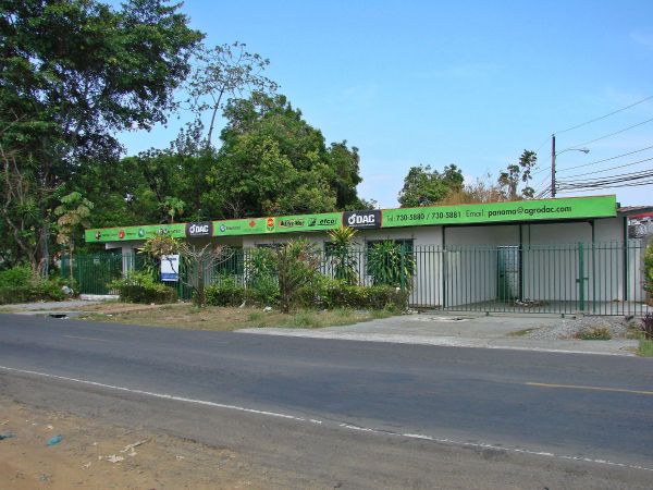 withdrawn Near Busy F Sur in David Panama one block from Pan American Highway