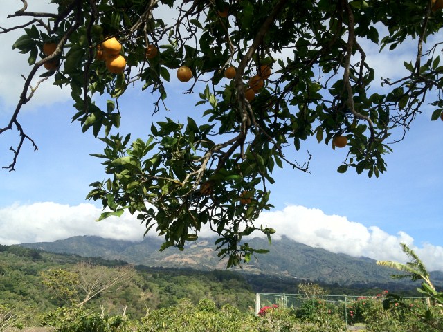 sold Amazing Valley View Lot in El Salto Close to Downtown photo 12