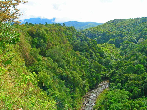 withdrawn - Land for Sale Near the Main Road Close to the Entrance of Downtown Boquete
