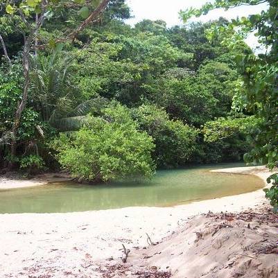 withdrawn Bocas 28 Acres on Ocean with Sandy Beach & River photo 7