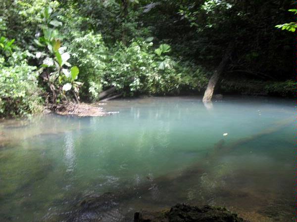 withdrawn Bocas 28 Acres on Ocean with Sandy Beach & River photo 6