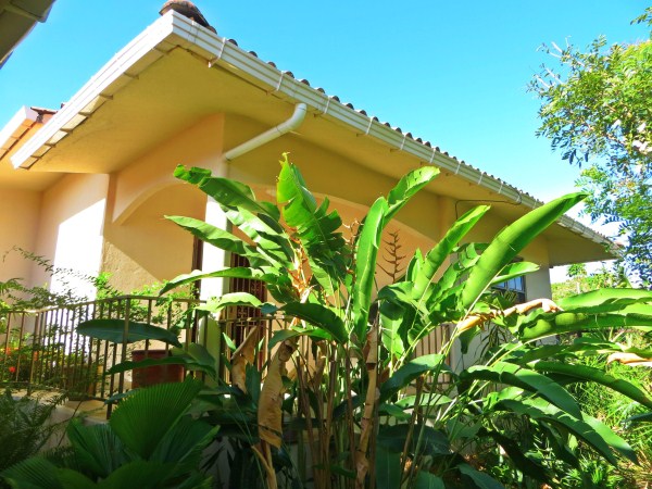 withdrawn Condominium in David, Panama photo 4