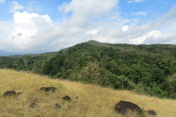 withdrawn 1.7 acres on the Caldera River canyon – Price Reduction photo 5