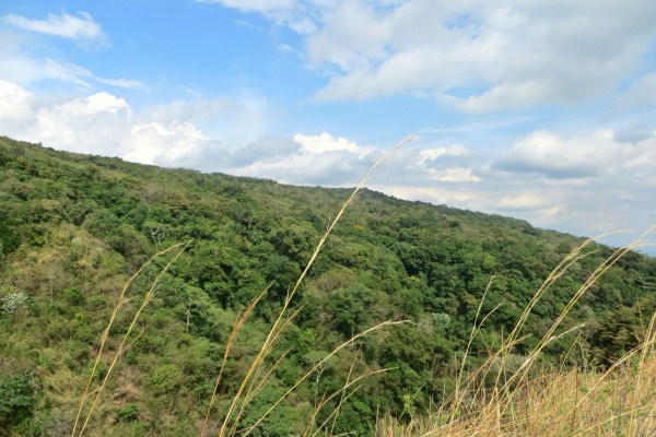 withdrawn 1.7 acres on the Caldera River canyon – Price Reduction photo 6