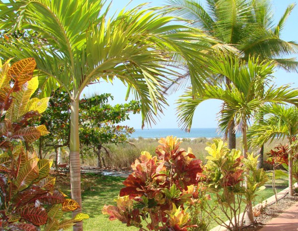 Withdrawn - High-end Panama 3BD Beach Condo - includes furnishings photo 2