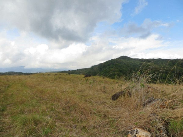 sold - Amazing View Lot in Alto Boquete - Price Reduction photo 5