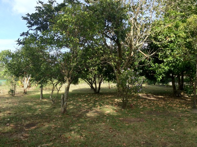sold Amazing Valley View Lot in El Salto Close to Downtown photo 3