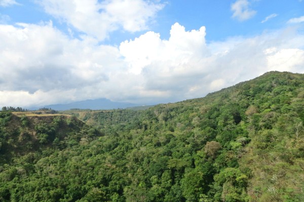withdrawn 1.7 acres on the Caldera River canyon – Price Reduction photo 8