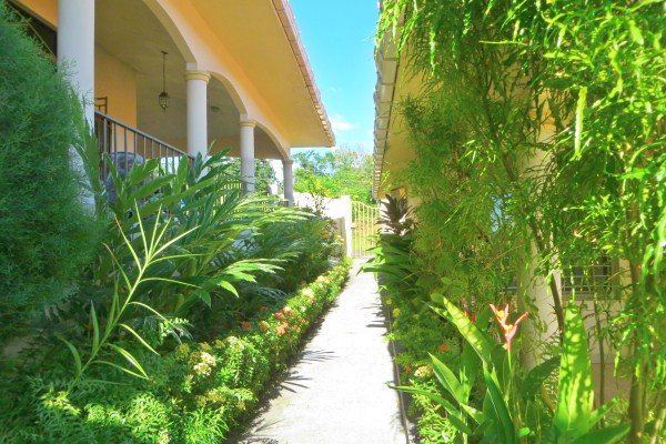 withdrawn Condominium in David, Panama photo 11