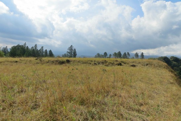 withdrawn 1.7 acres on the Caldera River canyon – Price Reduction photo 10