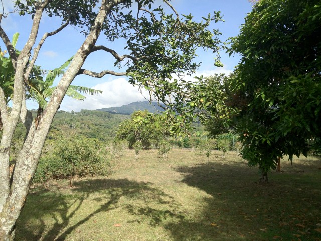 sold Amazing Valley View Lot in El Salto Close to Downtown photo 4
