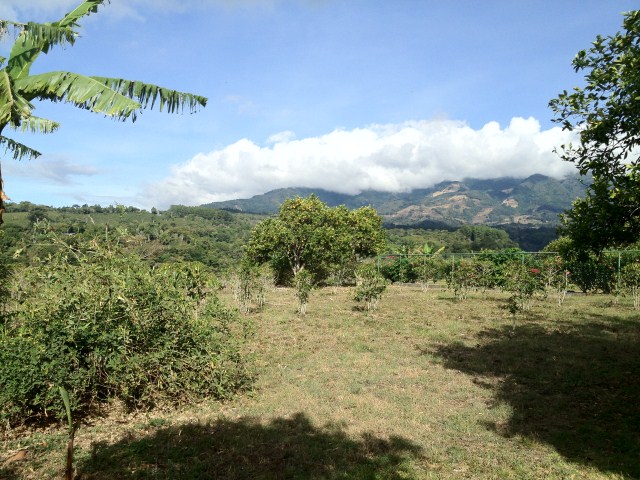 sold Amazing Valley View Lot in El Salto Close to Downtown photo 5