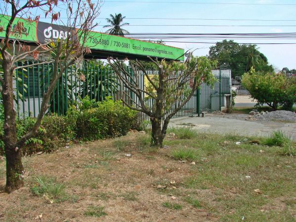 withdrawn Near Busy F Sur in David Panama one block from Pan American Highway photo 9
