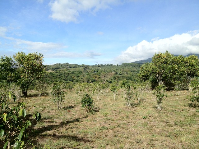 sold Amazing Valley View Lot in El Salto Close to Downtown photo 6
