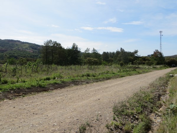 withdrawn Nice Sun Bathed Home Site in Alto Boquete photo 7