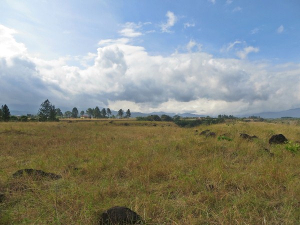 sold - Amazing View Lot in Alto Boquete - Price Reduction photo 8