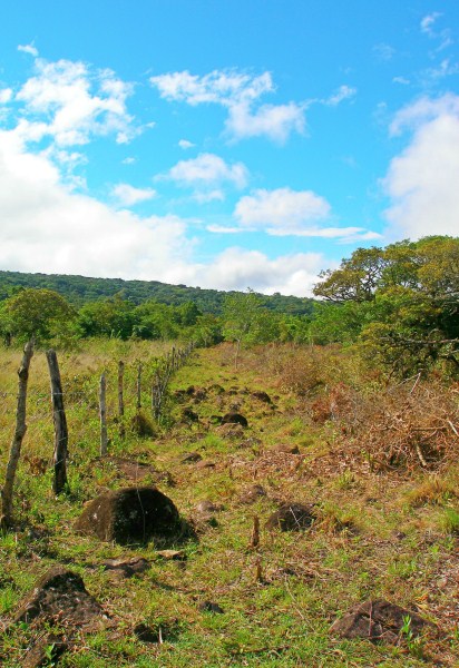 withdrawn - Land for Sale Near the Main Road Close to the Entrance of Downtown Boquete photo 11