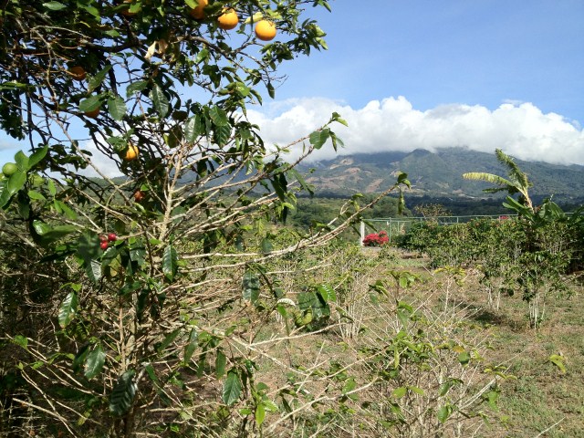sold Amazing Valley View Lot in El Salto Close to Downtown photo 7