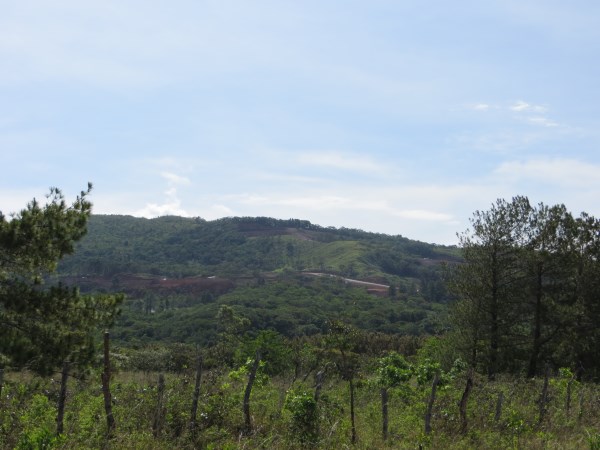 withdrawn Nice Sun Bathed Home Site in Alto Boquete photo 10