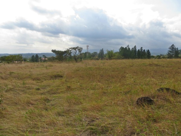 sold - Amazing View Lot in Alto Boquete - Price Reduction photo 11