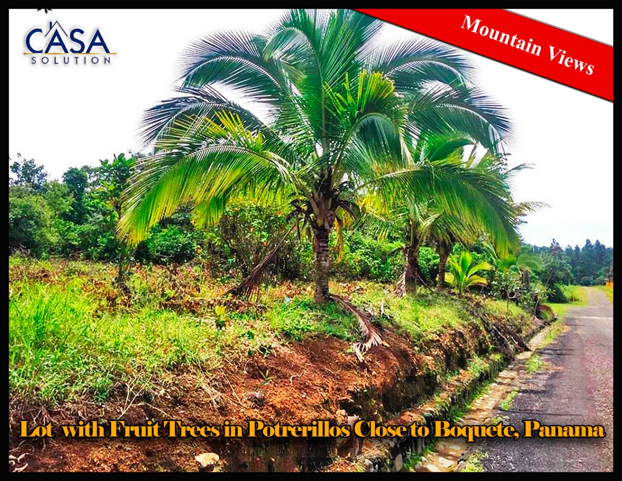 Lot for Sale with Fruit Trees in Potrerillos Close to Boquete, Panama photo 2
